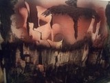 by Sabrina Laughlin