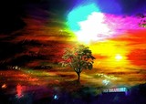 by Tala Ibrahimi
