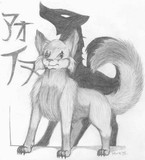 by Sami Gingerkat