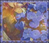 by Sher Richardson