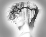by omar al-shams