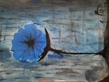 by Hiba Bensaid