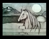 by Amber Larimore