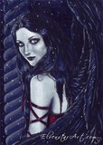 by Rebecca Sinz