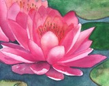 by Nancy Woolweber