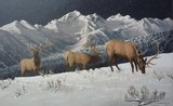 by J.H. (Jerry) Johnson