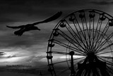 by Tabitha Borges