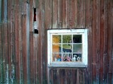 by Patrik