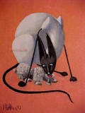 by Vivian Ogea Allen