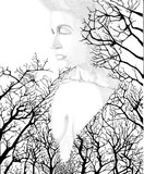by William Ground