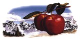 by Robert Evans