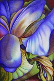 by carmen melton