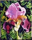 by Anita Niemeyer