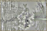 by Lisa Brewer