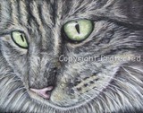 by Michelle Wrighton