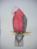by gary wood