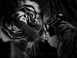 by Heather Ward