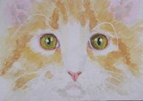 by Joanne Simpson-Connor