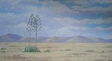 by Danie Cronje