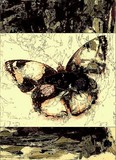 by Mildred Ann Utroska