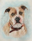 by Sherrie Kostura