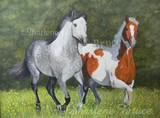 by Sharlene Bruce