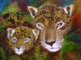 by Barbara Furlong