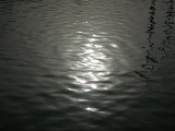 by Rohit Shrivastava