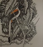 by Meena Subramaniam