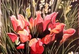 by lisandro rodriguez