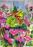 by Shakeh Sarookhanian