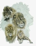 by Barbara Keith