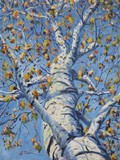 by Scott Niemi