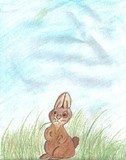by Rebecca Humphries