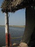 by shagun sangha