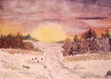 by robert minchin