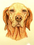 by Sue Clinker