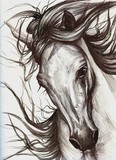 by Joanna Ulinska Lisowska