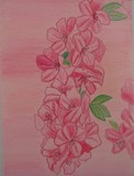 by Anjana Sharma