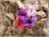 by Yelitza Velez
