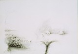 by zareh meguerditchian