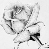 by John Willis