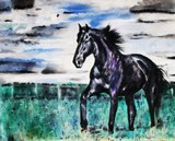 by Debi Allison (D.Day)