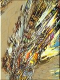 by Helmut Licht