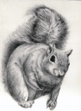 by Shawna Poliziani