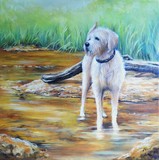 by Debbie PIke