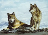 by Chris J W Gregg
