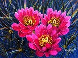 by Maggie Ullmann