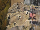 by Catriona Parker
