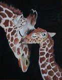by Amy Bentley